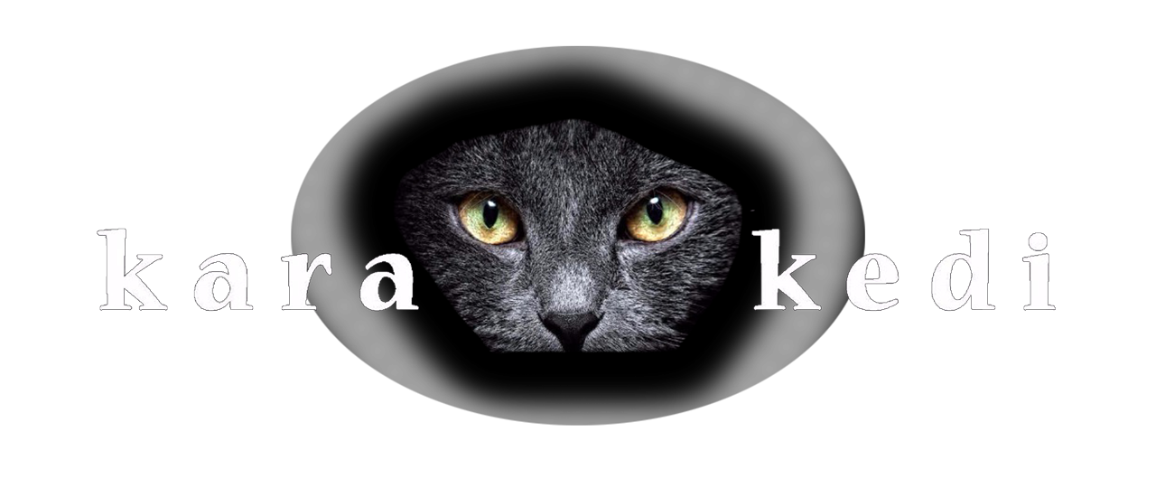 Kara Kedi Rock Live Musik