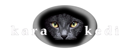 karakedi-logo